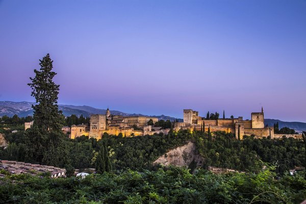 How to Create a Pet-Friendly Yet Elegant Home Interior?