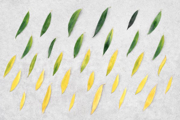 How can real estate projects incorporate sustainable heating solutions, such as geothermal or solar thermal systems?