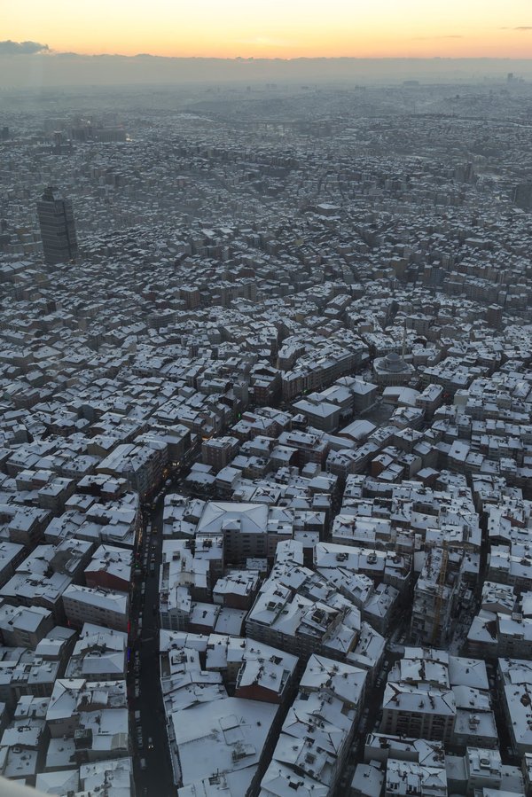 How Can Real Estate Development Contribute to Urban Wildlife Conservation?