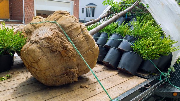 How to leverage landscape architecture in real estate projects to create sustainable and functional outdoor spaces?